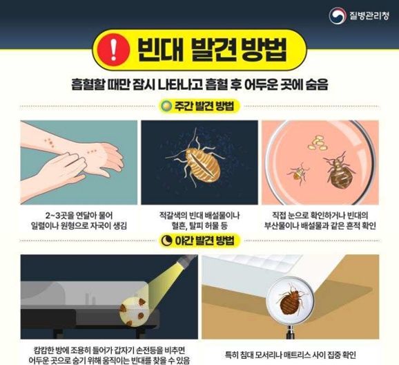 빈대 발견 방법/질병관리청 제공
