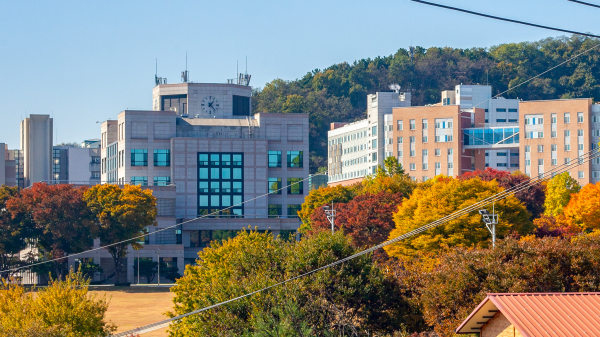 고려대학교 세종캠퍼스 학술정보원