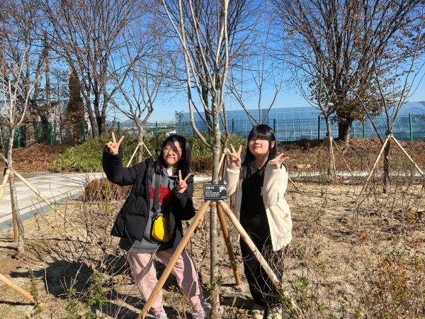 성남초 나무 갖기 캠페인/천안시 제공