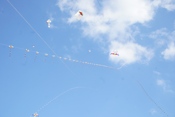 지난 2일 열린 제7회 서산 해미읍성 전국 연날리기 대회 모습