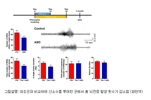 실험사진