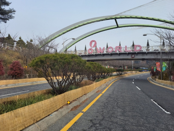 사정공원로 등에 설치된 띠녹지 월동보호책