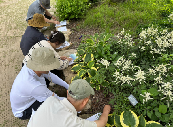숲해설가 자연놀이