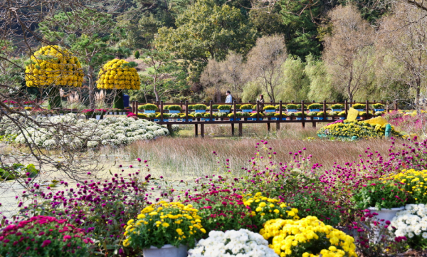 ‘2023년을 빛낸 군정 10대 시책’ (태안 국화축제)
