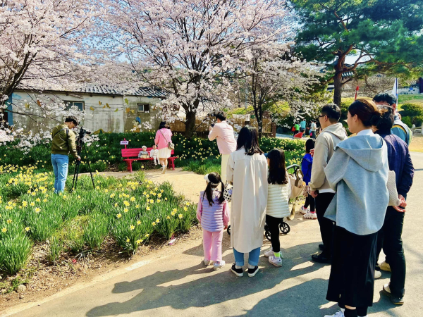 홍성군 거북이마을