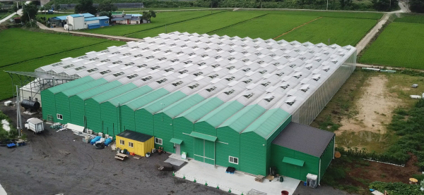 스마트팜 온실 전경