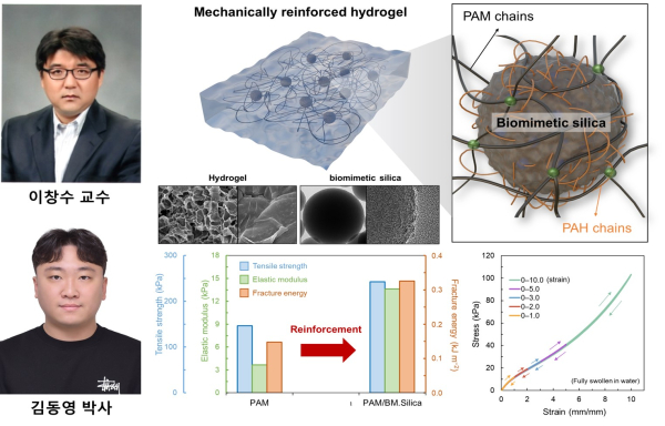이창수 교수팀 증명 사진 및 연구 설명 그림