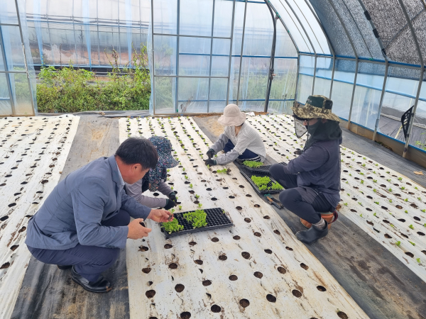 2023년 신규농업인 현장실습교육 사진