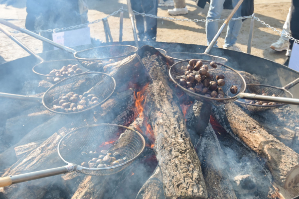‘제7회 겨울공주 군밤축제’와 ‘2024 대한민국 알밤박람회 in공주’ 현장 모습