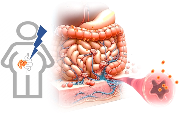 연구 설명 이미지