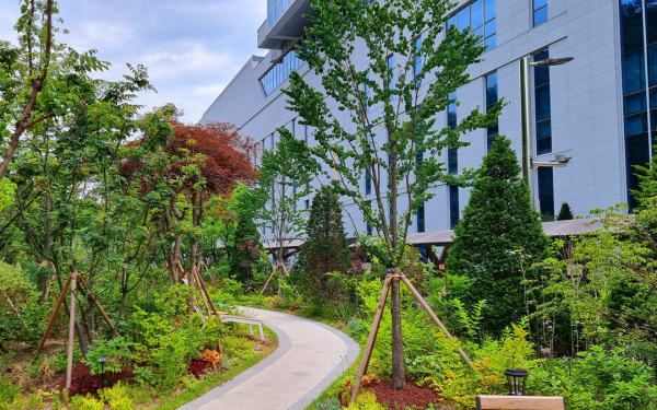 세종충남대병원 정원