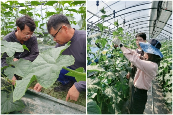 귀농귀촌 신규농업인 현장실습교육 진행 모습