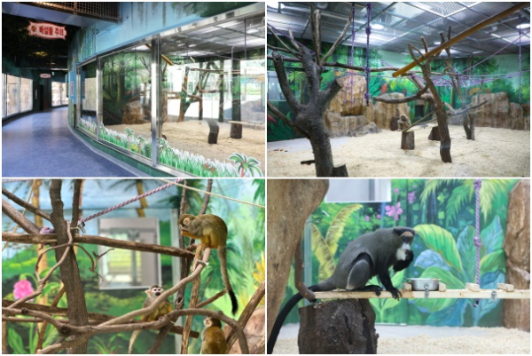 실내 관람로와 내부 방사장 모습