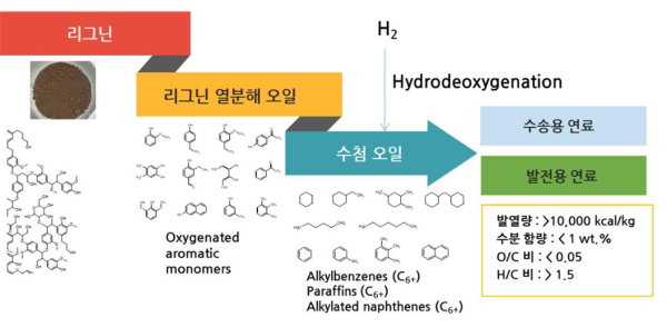리그닌의 열분해 및 수첨 업그레이딩을 통한 드롭인 바이오연료 생산 공정 모식도