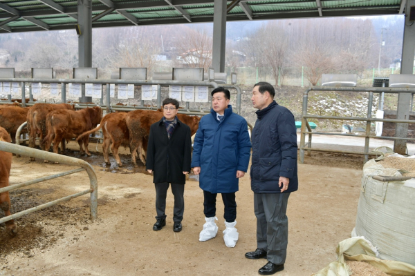 송아지 가축경매시장에 방문한 (가운데)최재구 예산군수