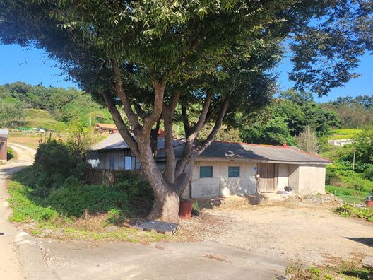 농지법 시행 이전 농지위에 지어진 주택(예시)