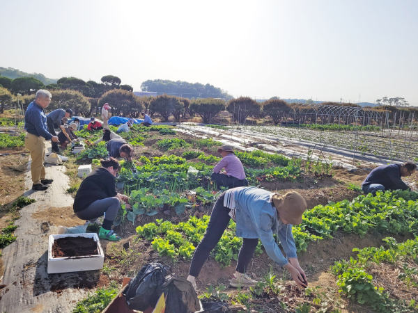 도시농업전문가 과정 현장실습 모습