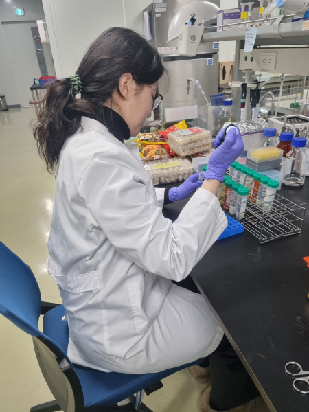 성수식품 검사 모습