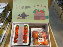 공주시 농산물 꾸러미 세트 2호