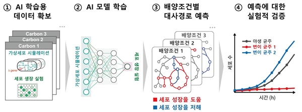 인공지능(AI)을 통한 핵심 대사반응 규명 과정