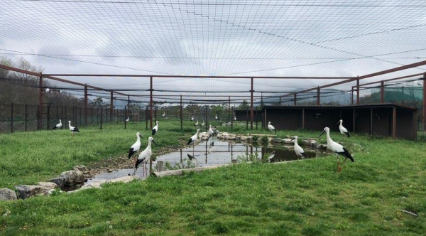 예산황새공원의 황새사육시설 모슴