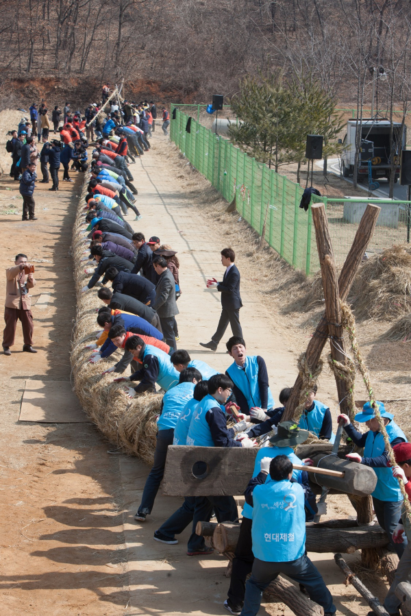 기지시줄다리기 줄 제작 사진