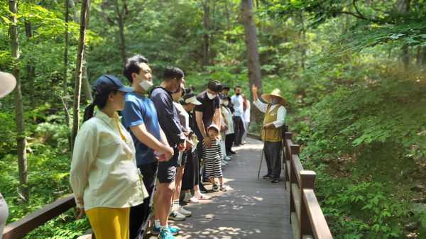 지난해 5월, 국립산림치유원에서 운영한 ‘건강출산 행복가정 캠프’ 참가자들이 숲길걷기 프로그램을 체험하고 있다.