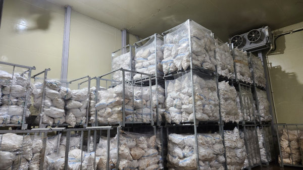 저온저장고 사진