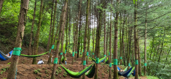 한국산림복지진흥원 국립산립치유원(경북 영주시 봉현면)에서 난임부부들이 숲에서 해먹 프로그램에 참여하고 있다.