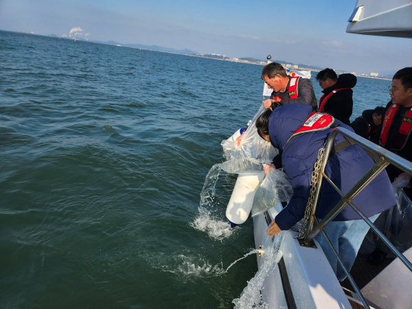 충남 수산자원 연구소가 자원회복을 위해 꼼치를 방류하고 있다