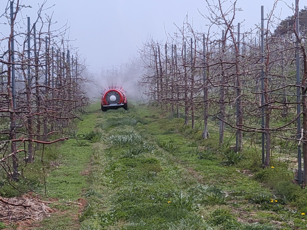 사과밭 약제 살포 모습