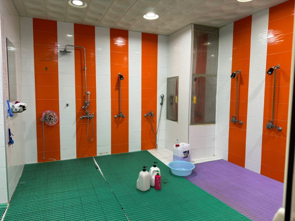 관내 생존수영장 시설·안전 사전점검