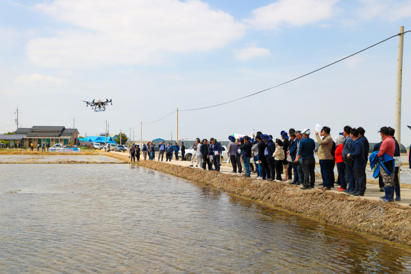 직파 재배 시연 사진