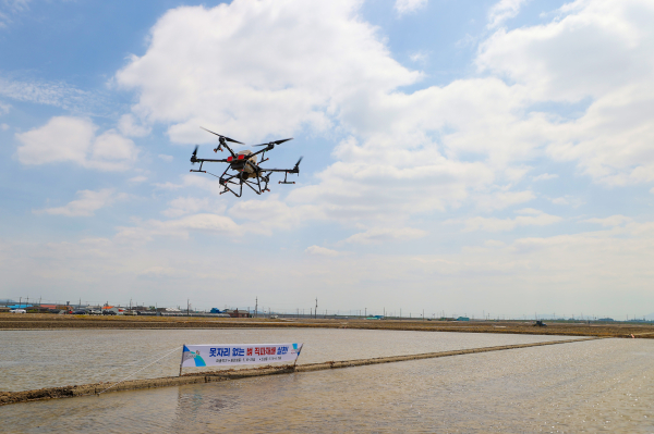 직파 재배 시연 사진