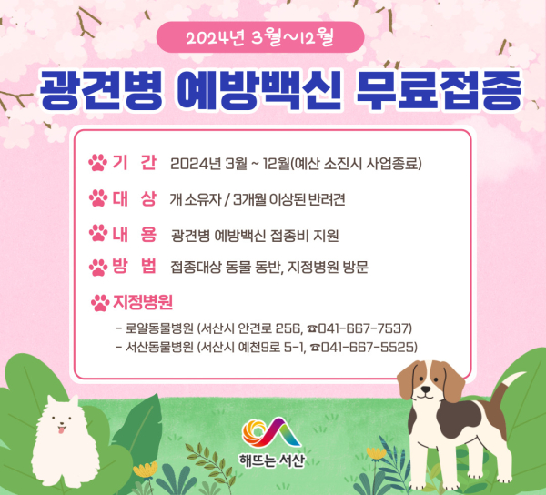 서산시 반려동물 광견병 무료 예방접종 홍보물