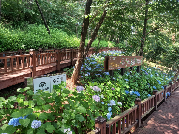 안면도수목원무장애나눔길