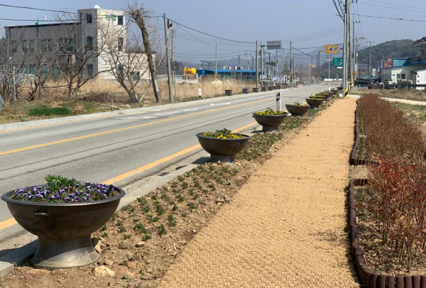 홍성군 서부면, 봄꽃 11,200본 식재