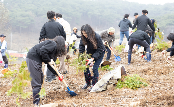 식목일 앞두고 편백 3천 그루 식재