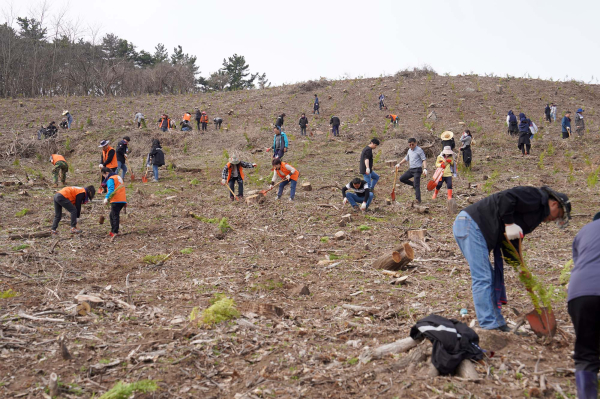 2일 인지면 화수리 일원에서 진행된 나무심기 행사