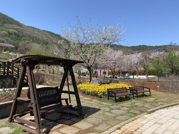 무궁화수목원 모습