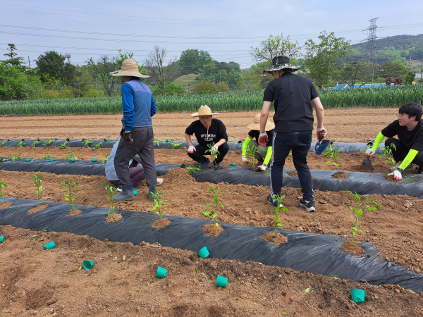 2023년도 공직자 일손 돕기 참여 사진
