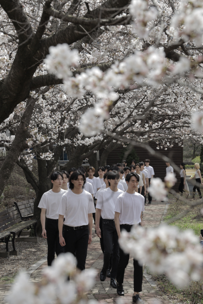 13번째 벚꽃워킹 수업 진행 모습