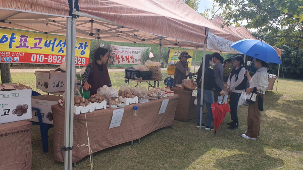 지난해 진행된 해미읍성 정례 직거래장터