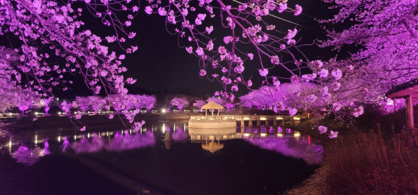 면천읍성 골정지 모습