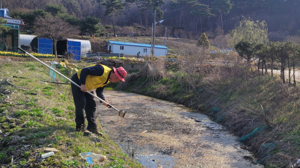 지난 2일 성연면 일람리 일원에서 진행된 유충구제 모습