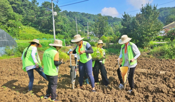 디투게더 봉사단은 지역사회의 구성원으로서 2022년부터 다양한 사회공헌활동을 펼치고 있다.