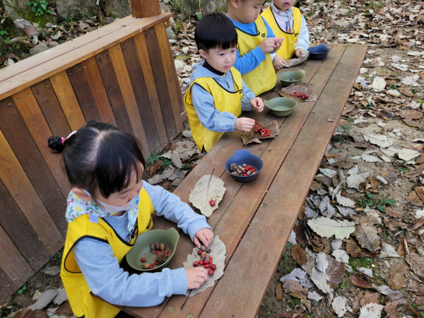 주미산 프로그램 (도토리와 산수유 체험)