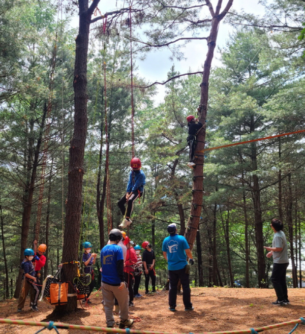 ‘트리클라이밍 체험’ 7종으로 확대해 무료 운영