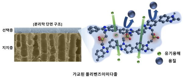유기용매 분리 정제용 고성능, 고내구성 나노여과 분리막 모식도