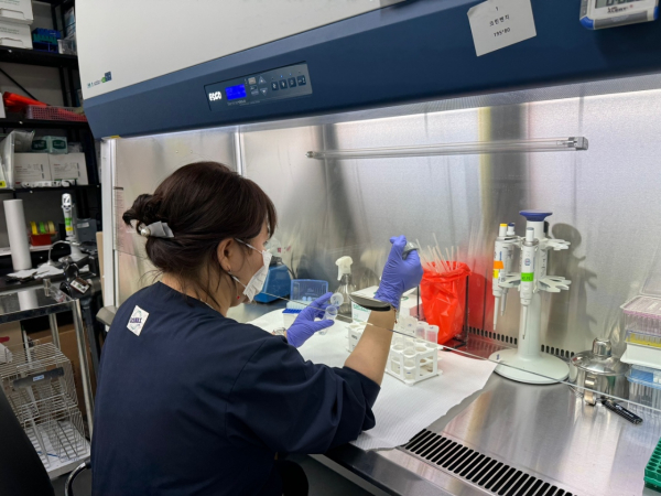 축산물 안전성 검사 (계란 살모넬라 검사 모습)